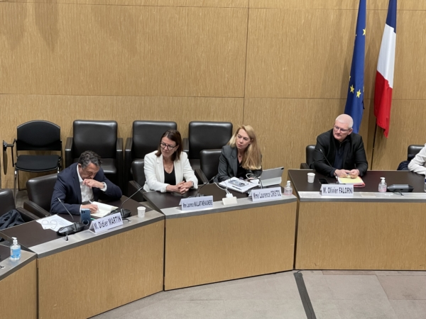 Loi Fin de vie : mon intervention lors de l’audition de la ministre du ...